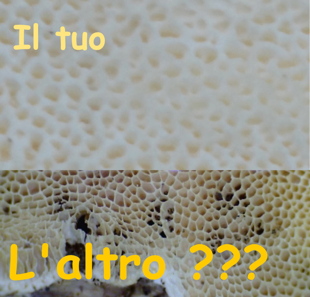 Quiz...per tutti